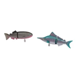 Amazing Fish