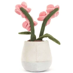 Amuseables Florist