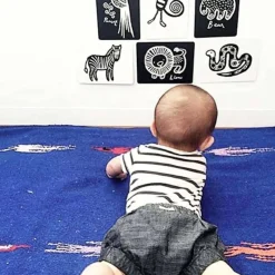 Art Cards