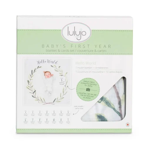 Baby's 1st Year Set
