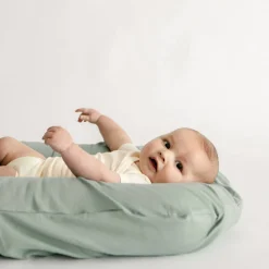 Bare Lounger Cover