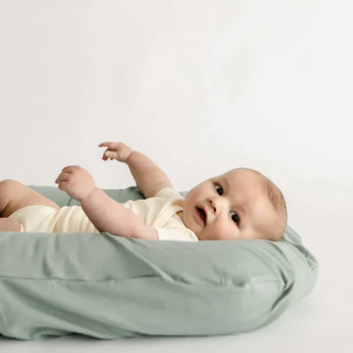 Bare Lounger Cover
