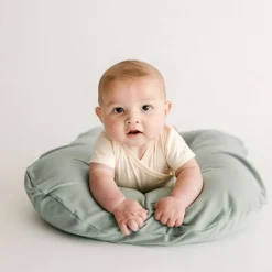 Bare Lounger Cover