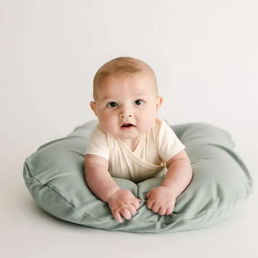 Bare Lounger Cover