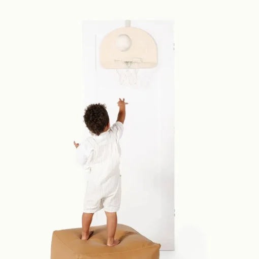Basket Ball Hoop