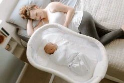 BassiNest Swivel Sleeper (Essentia)