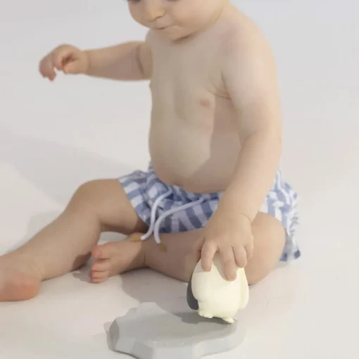 Bath Toy