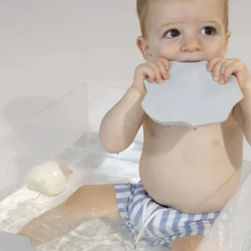 Bath Toy