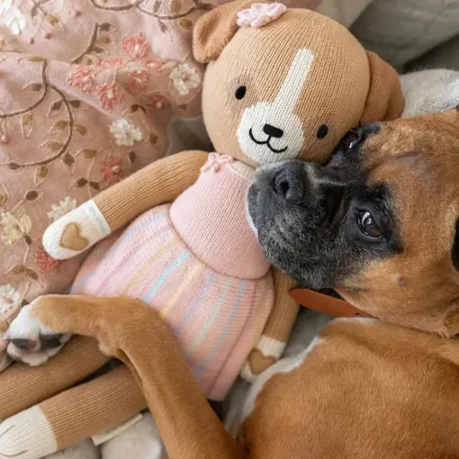Bea the Dog