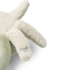 Berto Teddy