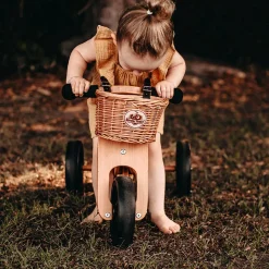 Bike Basket