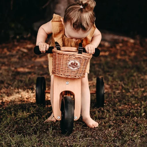 Bike Basket