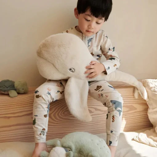 Binnie Teddy