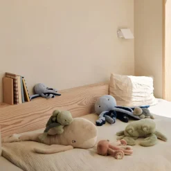 Binnie Teddy