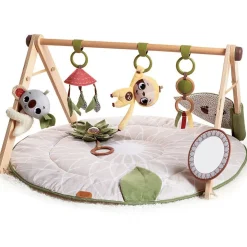 Boho Luxe Gymini