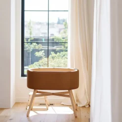 Capsule Bassinet