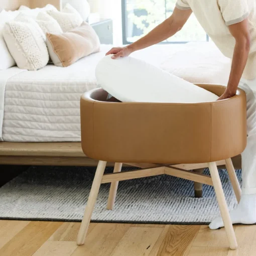 Capsule Bassinet