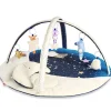 Celestial Dreams Activity Gym