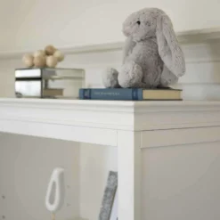 Darlington Bookcase