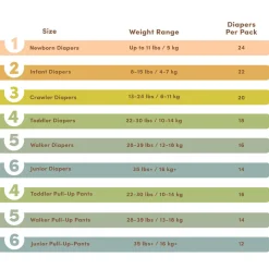 Diaper Pants Size 6 (Junior)