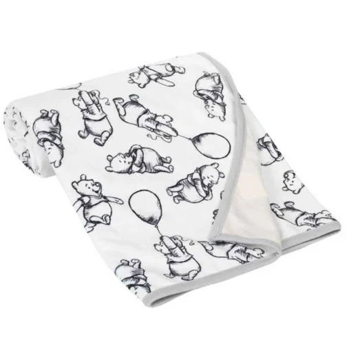 Disney Minky Baby Blanket