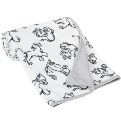 Disney Minky Baby Blanket