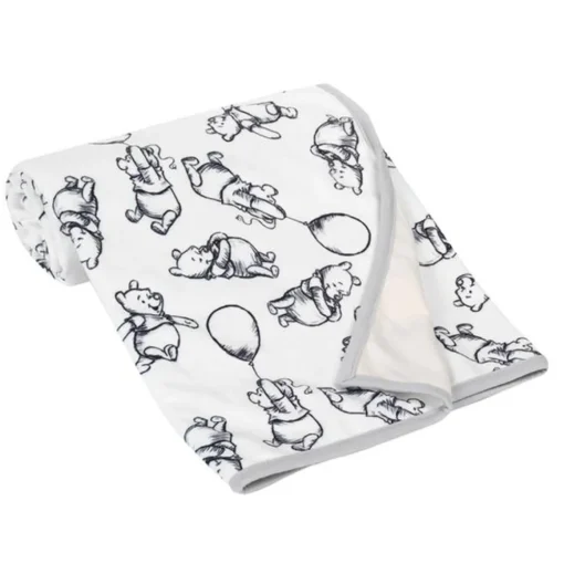 Disney Minky Baby Blanket