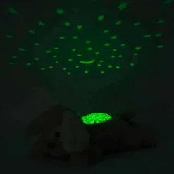 Dream Buddies