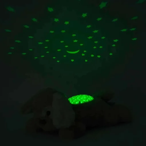 Dream Buddies
