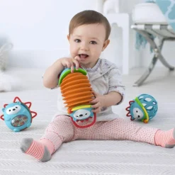 Explore & More Hedgehog Accordion