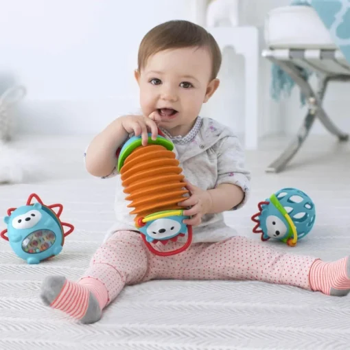 Explore & More Hedgehog Accordion