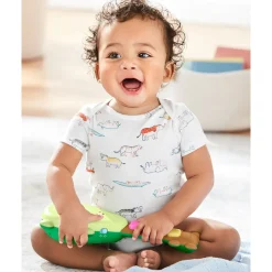 Farmstand Stroller Toy