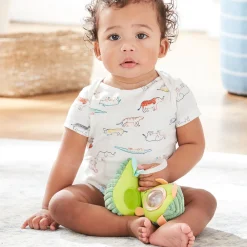 Farmstand Stroller Toy