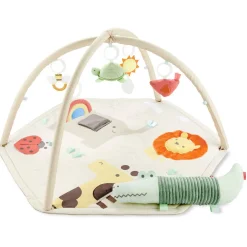 Geometric Wonders Activity Gym