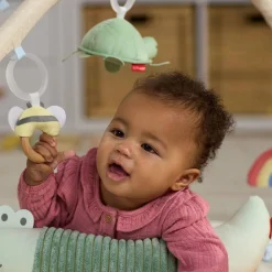 Geometric Wonders Activity Gym