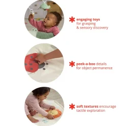 Geometric Wonders Activity Gym