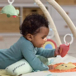 Geometric Wonders Activity Gym