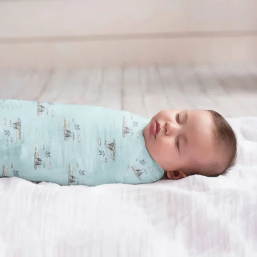 Harry Potter Hogwarts Swaddle (2 Pack)