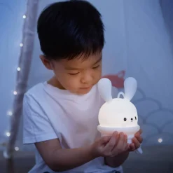 Hook 'N Go Pendant LED Nightlight