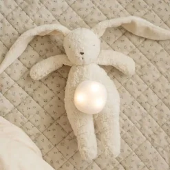 Humming Bunny with Lamp