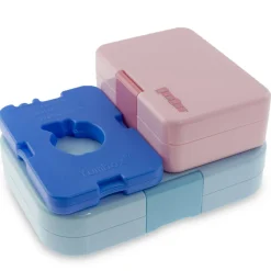 Ice Pack (Set of 4)