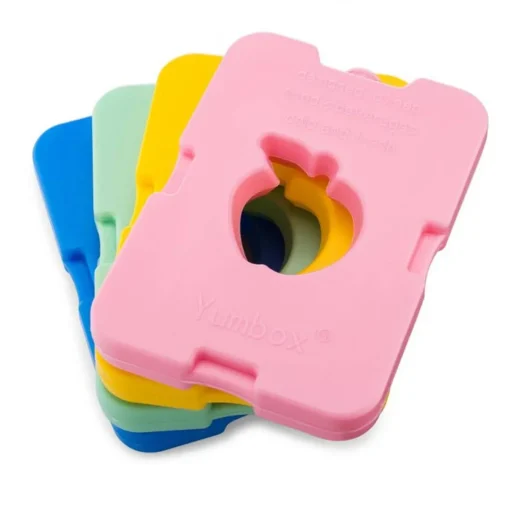 Ice Pack (Set of 4)