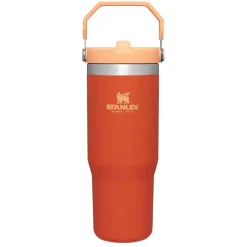 IceFlow 30 oz Flip Straw Tumbler