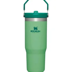 IceFlow 30 oz Flip Straw Tumbler