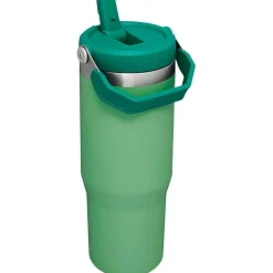 IceFlow 30 oz Flip Straw Tumbler