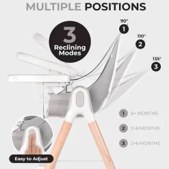 6-in-1 Deluxe High Chair
