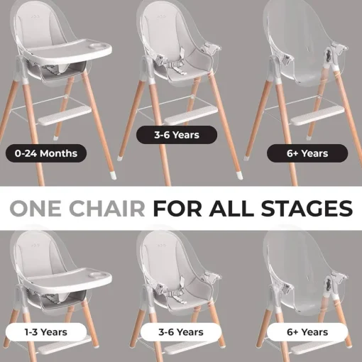 6-in-1 Deluxe High Chair