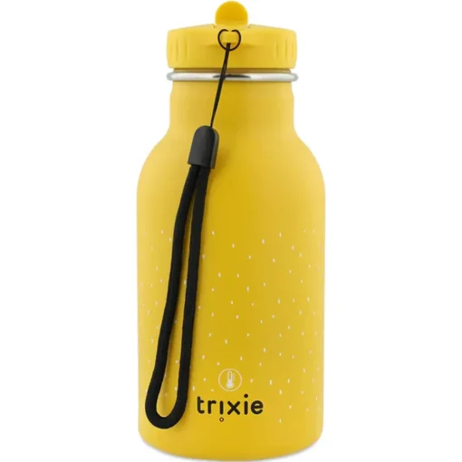 Insulated Water Bottle