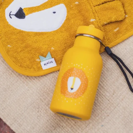 Insulated Water Bottle