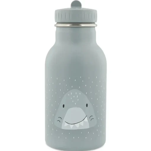 Insulated Water Bottle